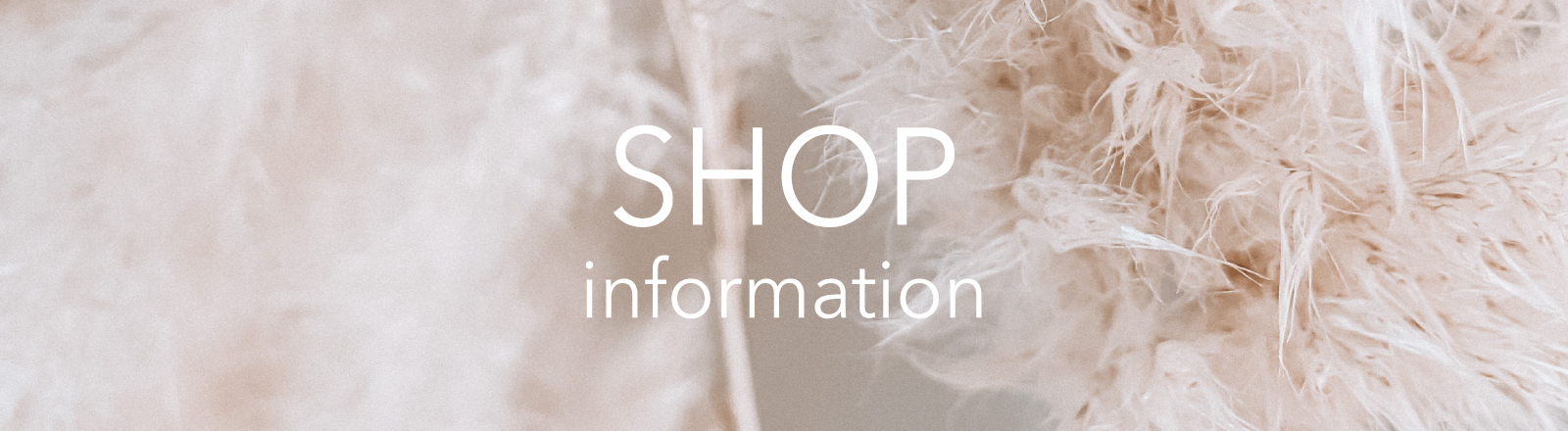 ショップガイドの画像